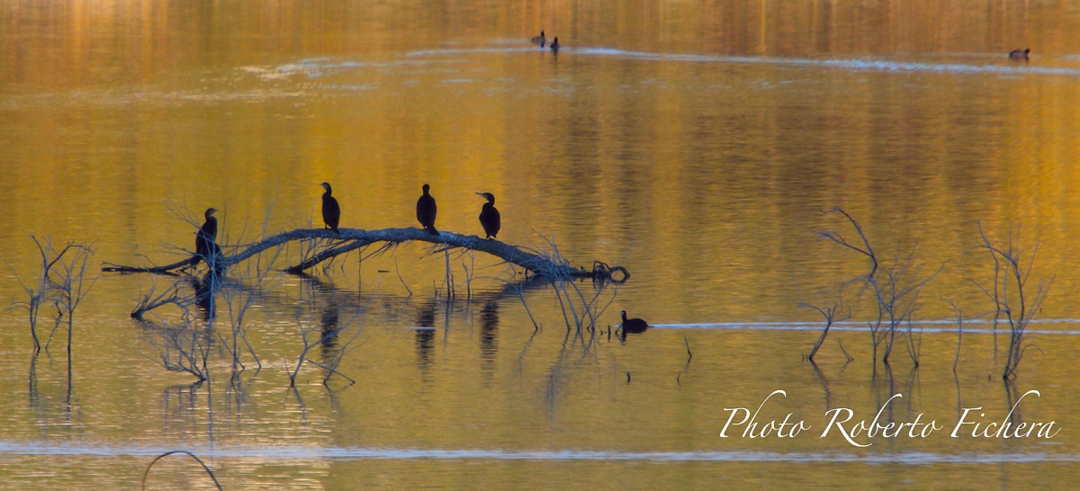 Oasi del Simeto a Paternò 4