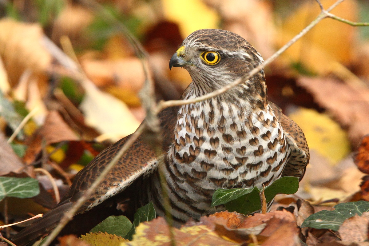 made me take a shot ..