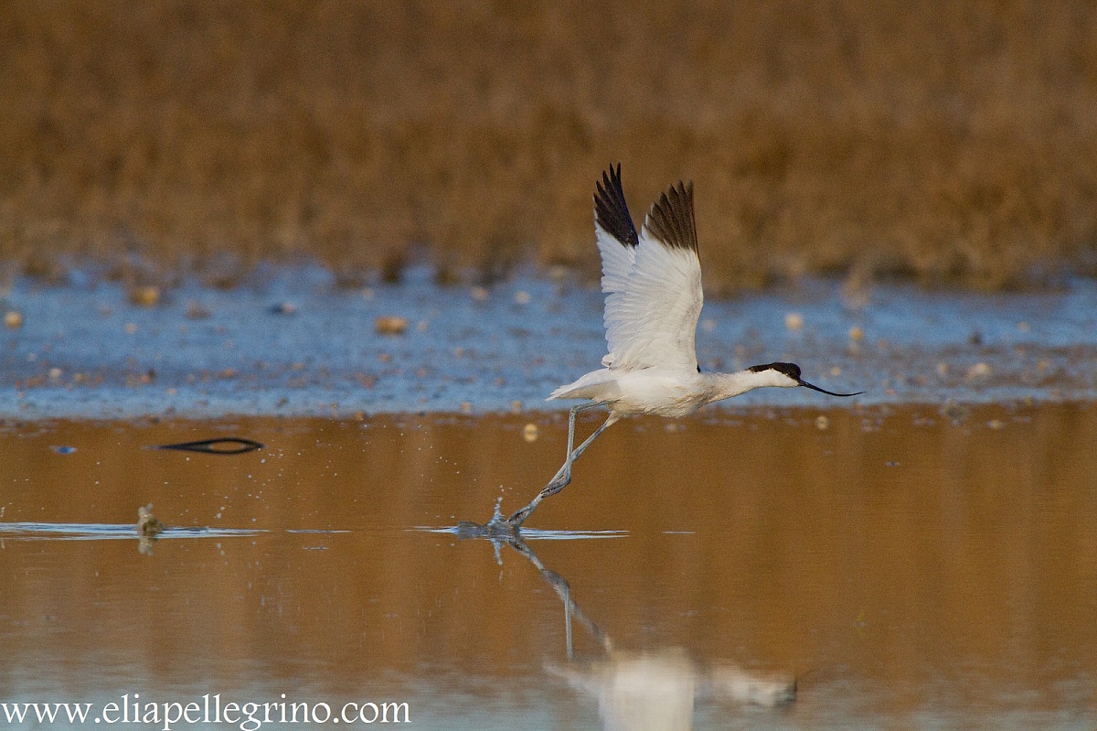 decollo all'ultima luce