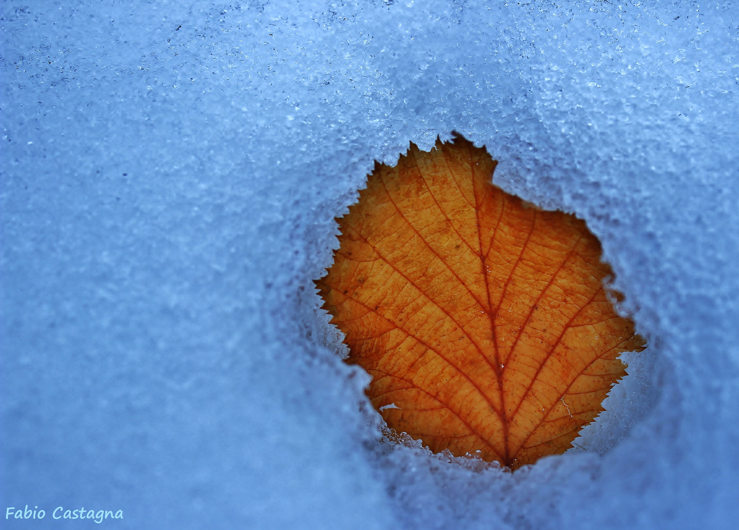 Incastonata nella neve