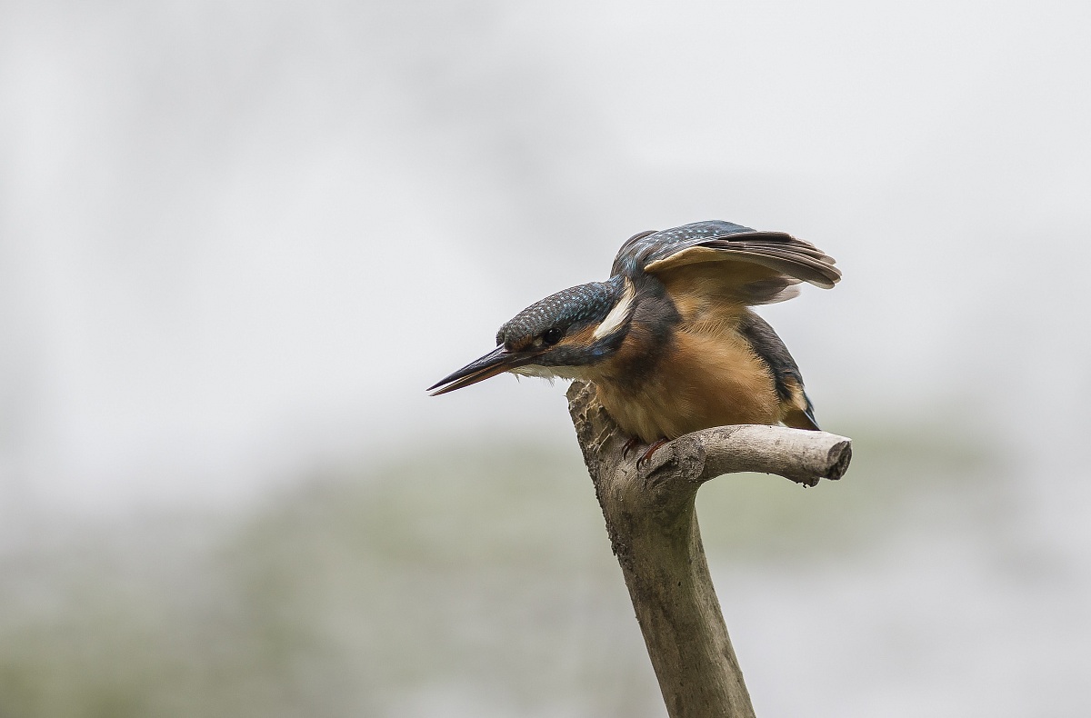 martin departing ...