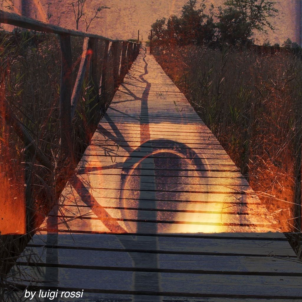 the unforgettable fire