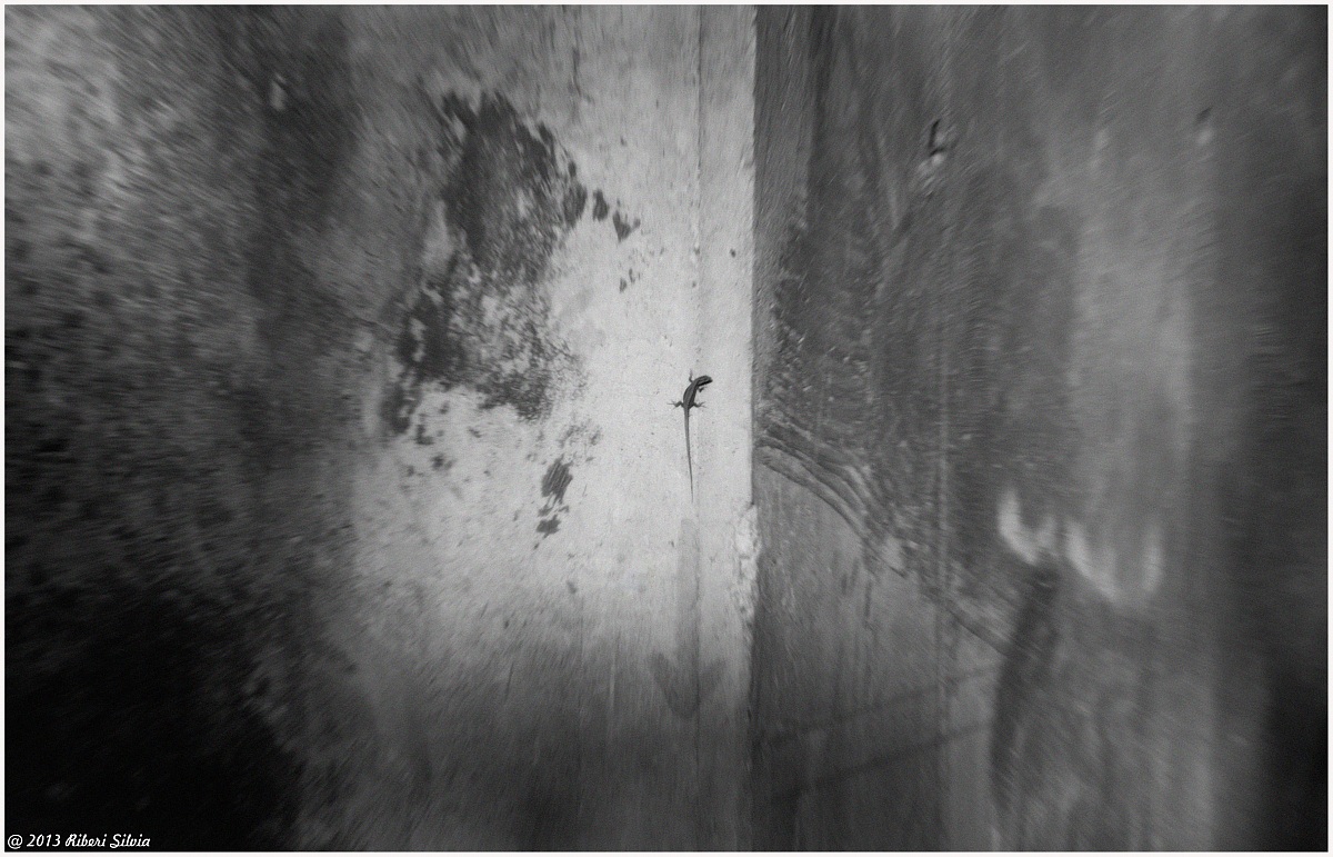 The right direction ..