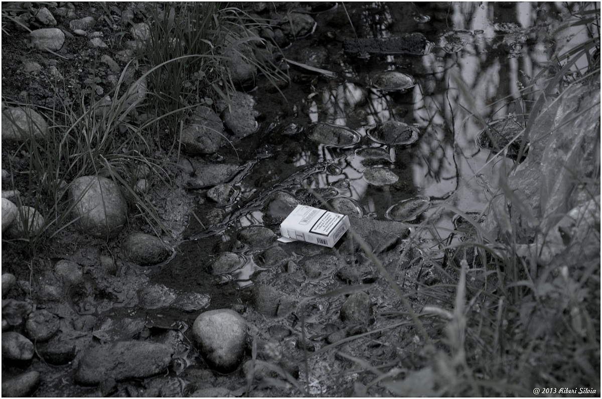 The nature and vices of modern man ..