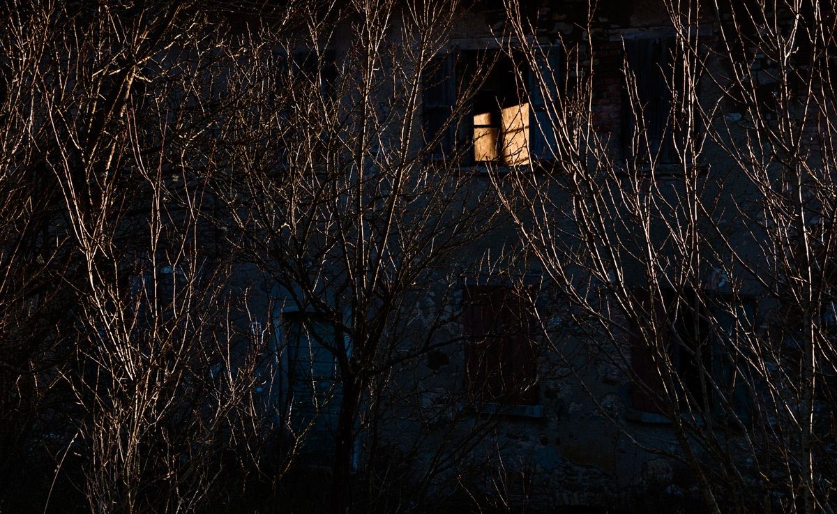 the light of the abandonment