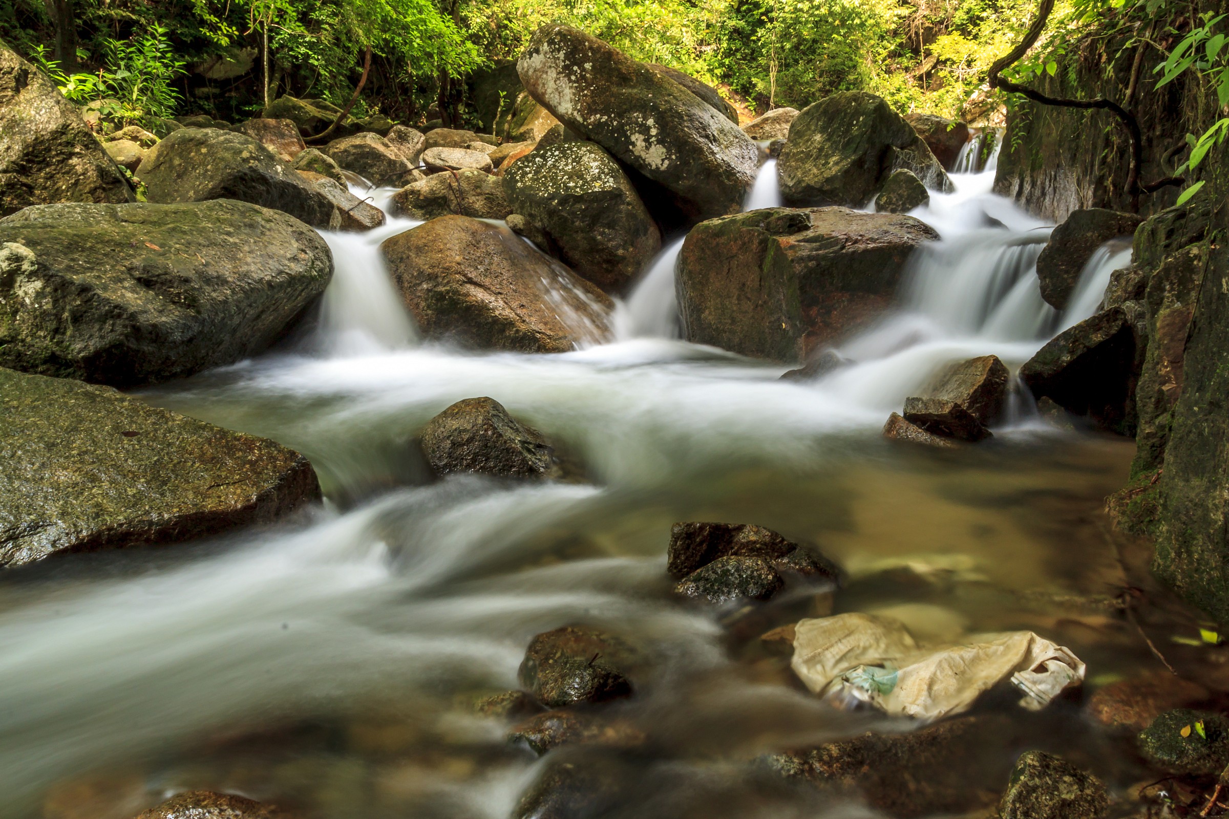 Titi kerawang cascata