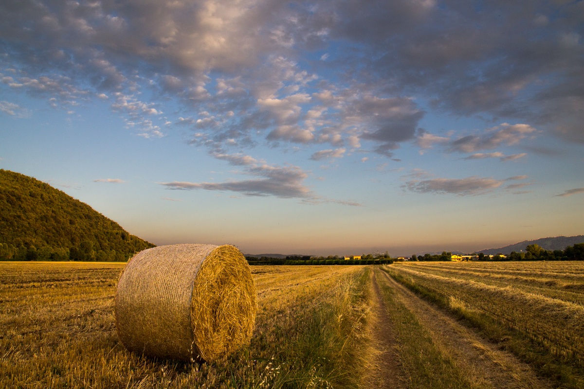 straw and clouds