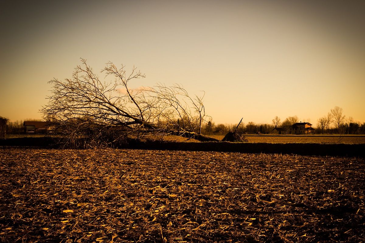 La caduta...di un mito