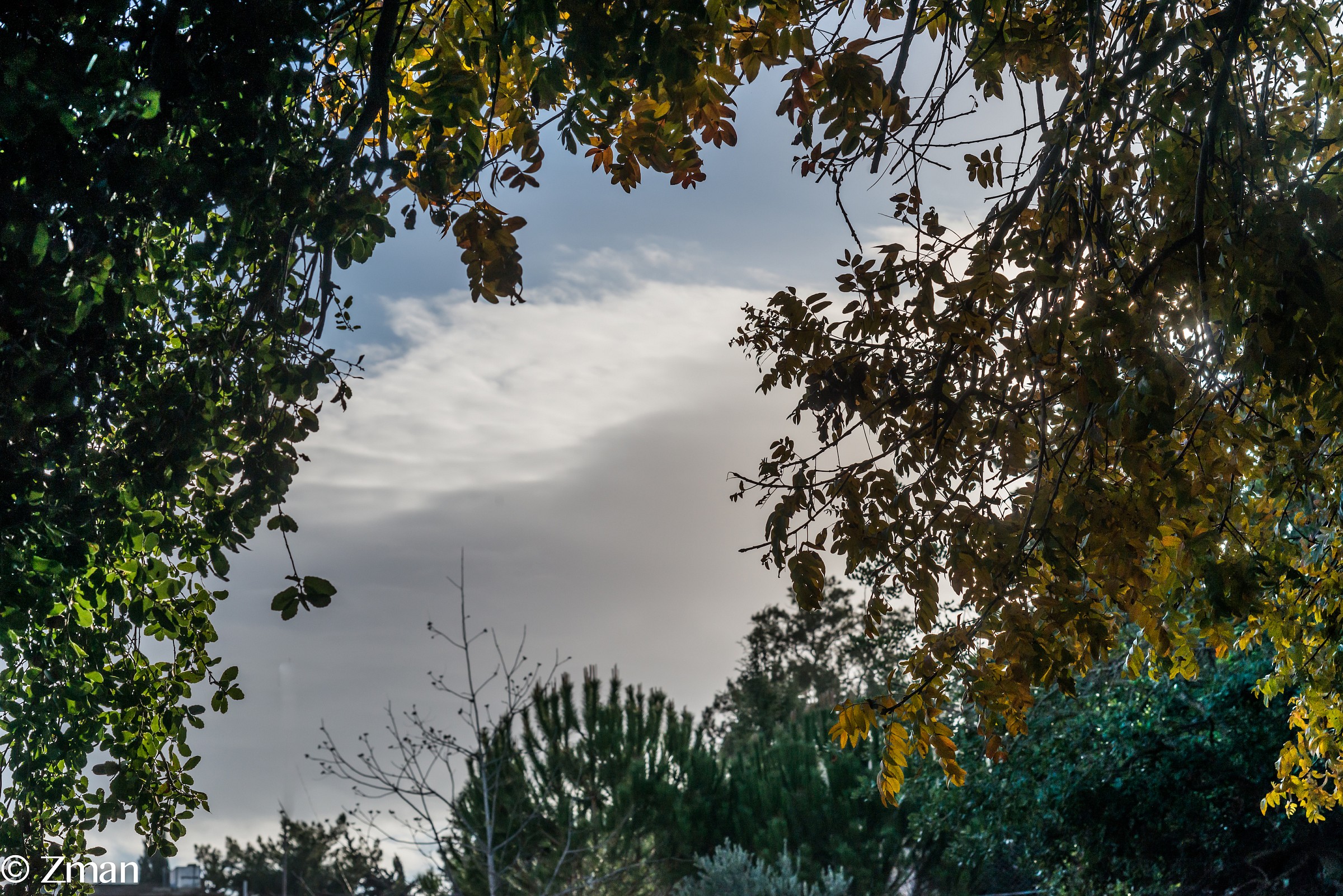 Mattina Prima di Capodanno