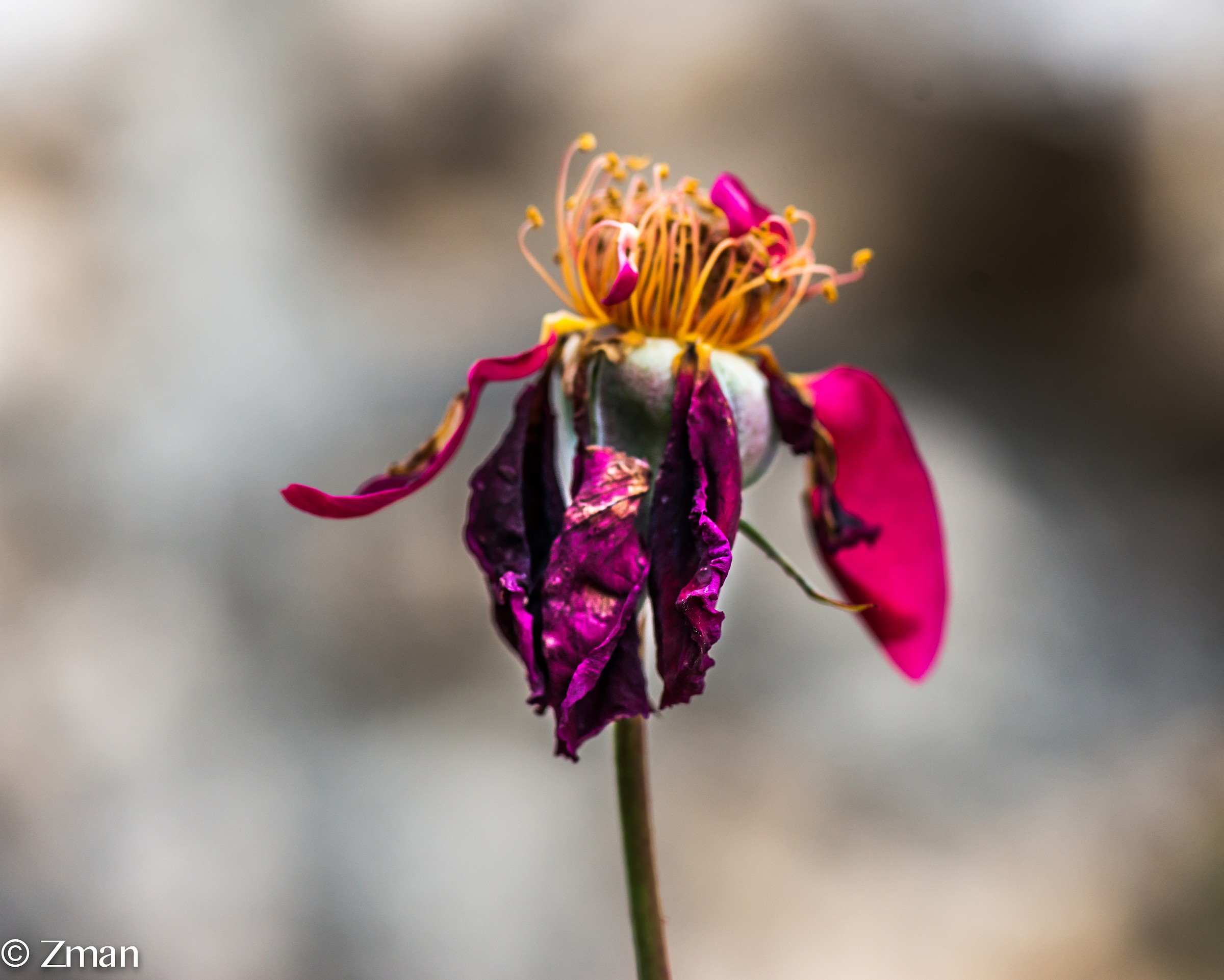 Che cosa è rimasto del 2013