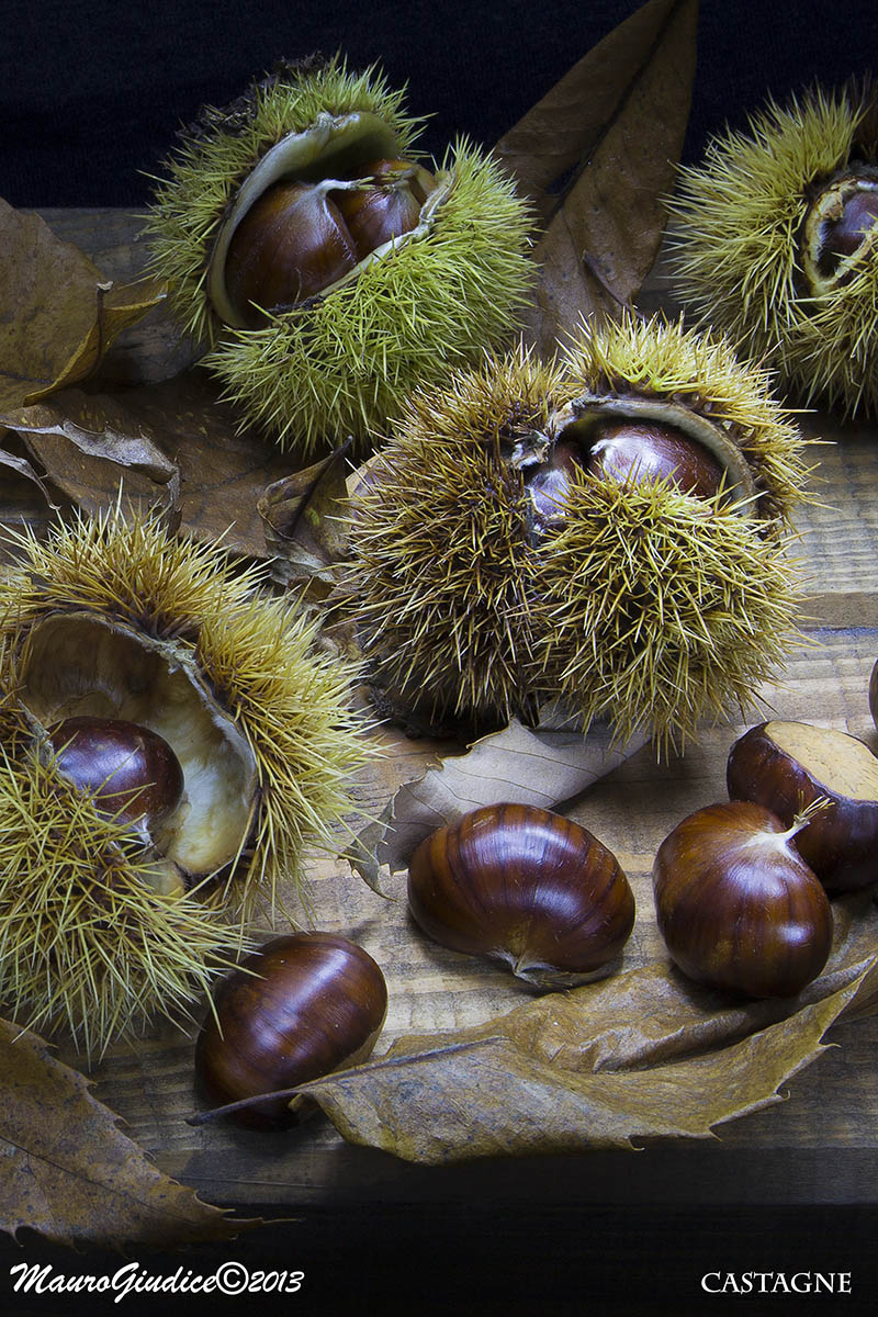 castagne