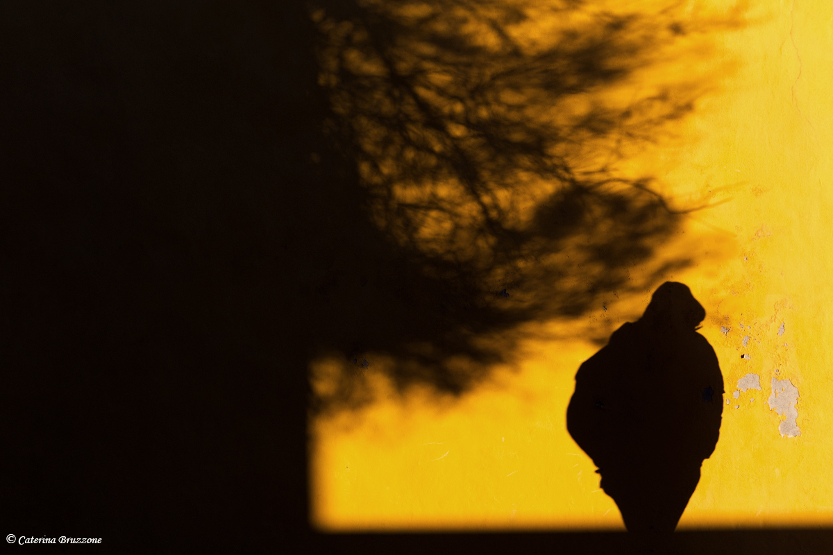 Addio 2013..Auguri per un felice Anno Nuovo