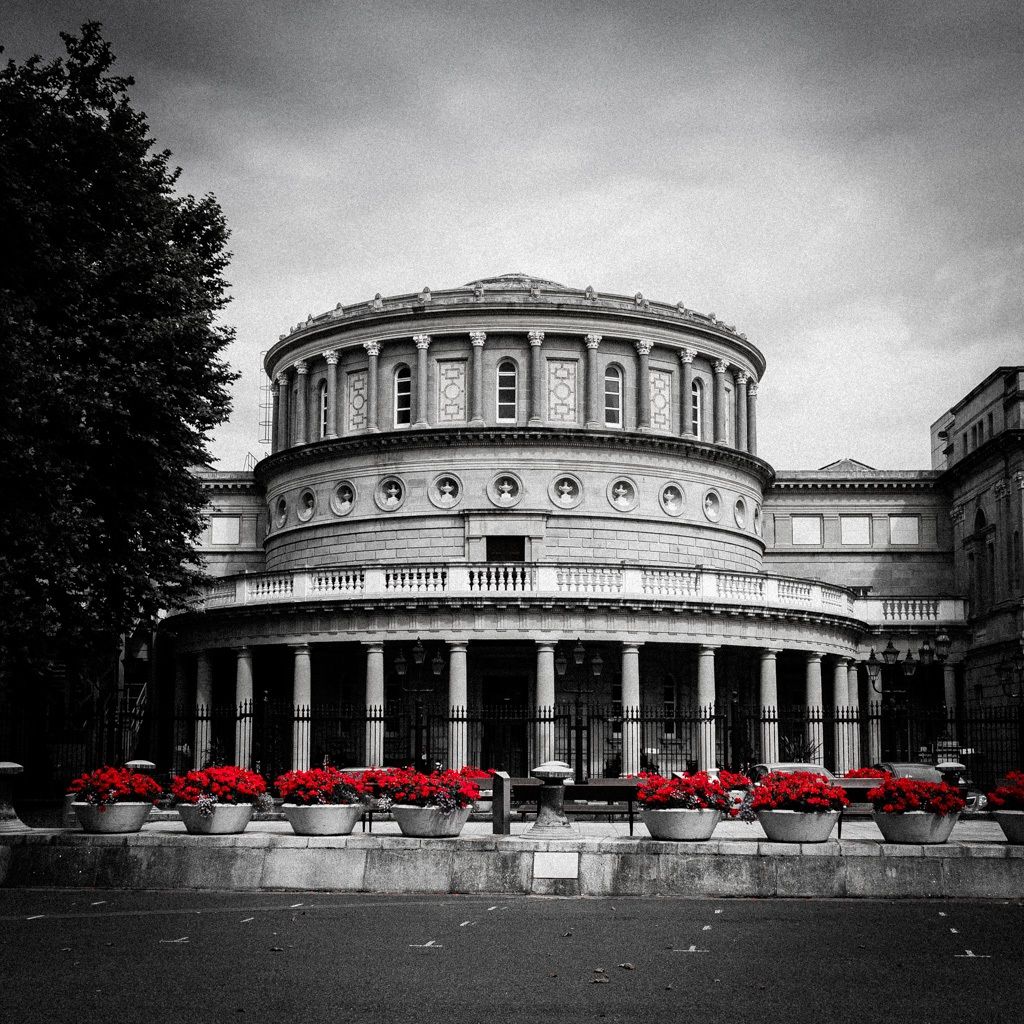Red flowers at the Museum