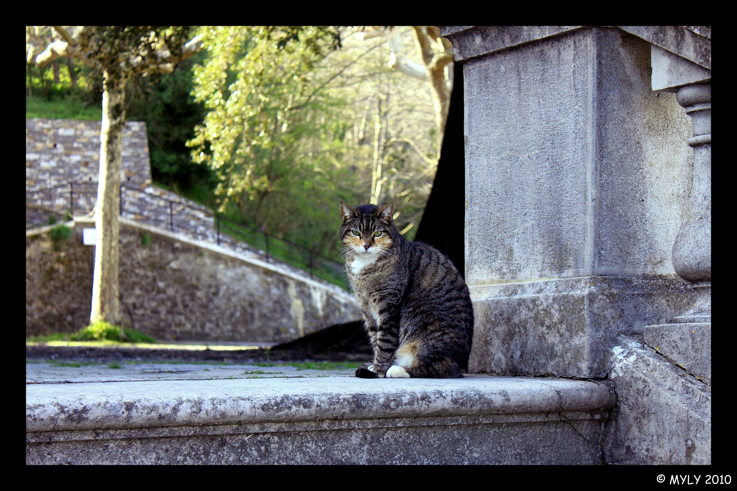 Sguardo accattivante