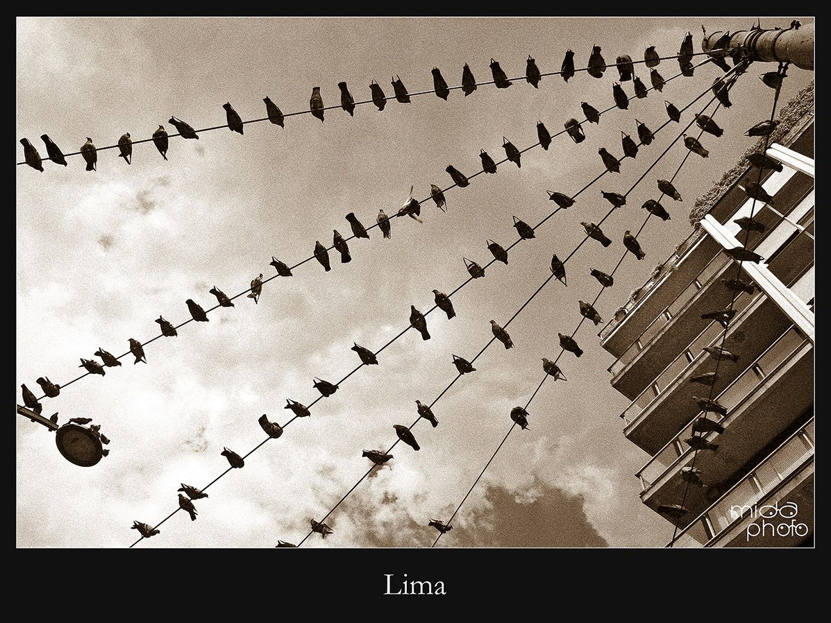 Lima
