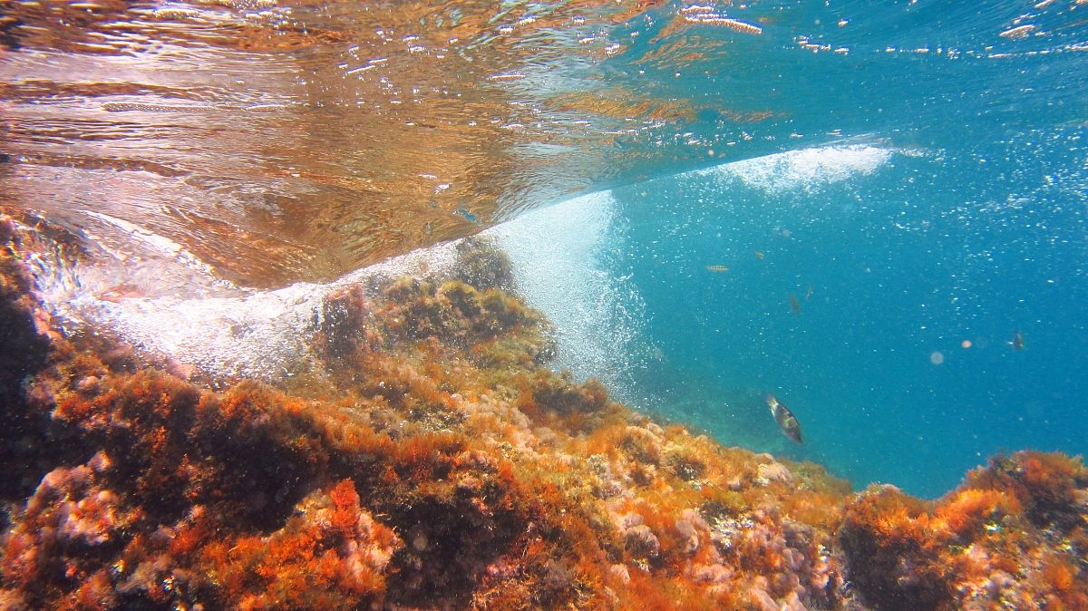 Underwater perspective of a wave breaking