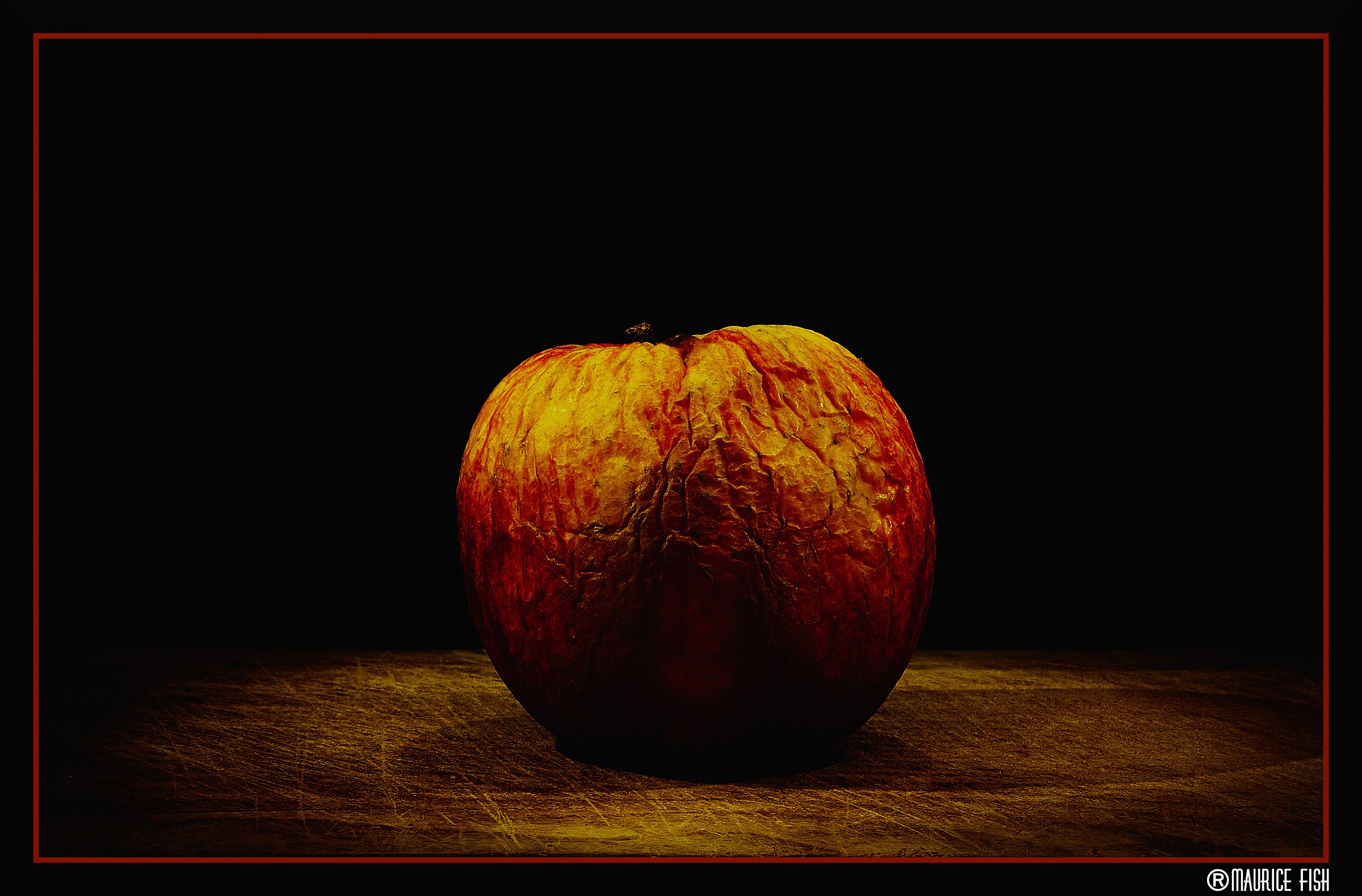 Still Life Still Life ....