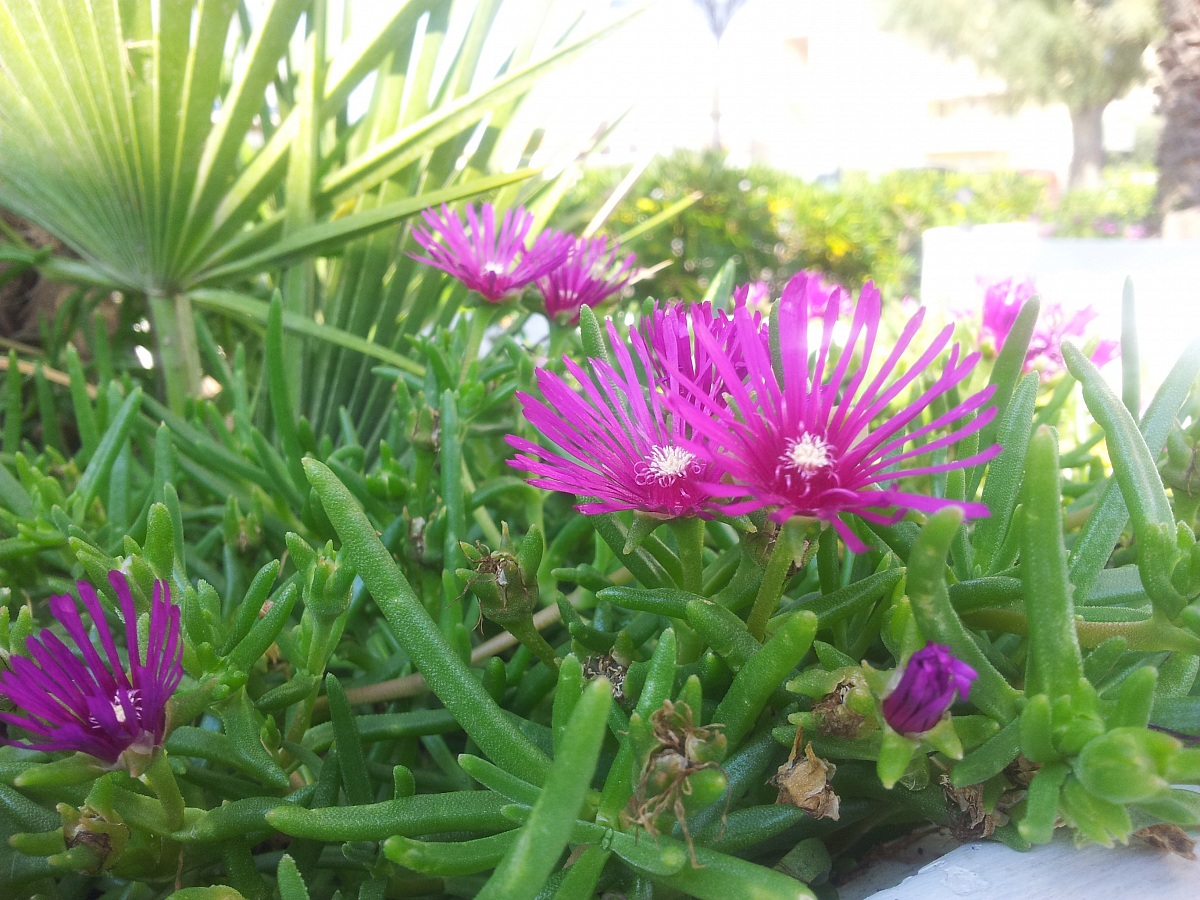 Esperimenti col telefonino 3