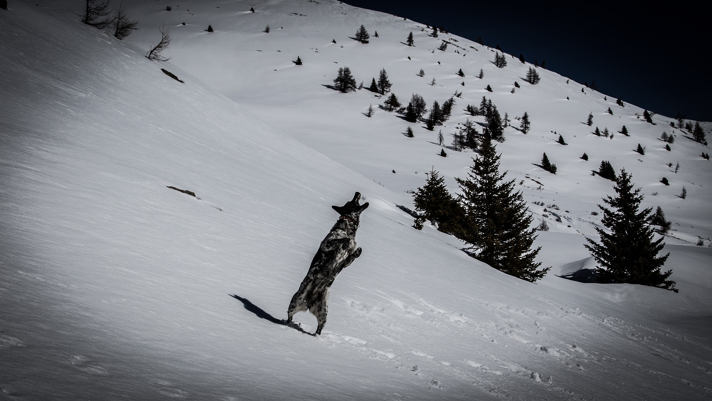 Che buona questa neve ...