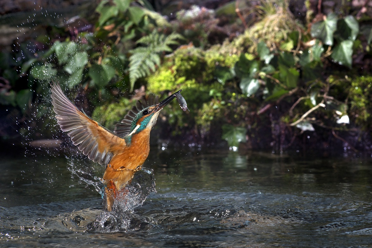 ritorno alle origini...una boccata di aria fresca