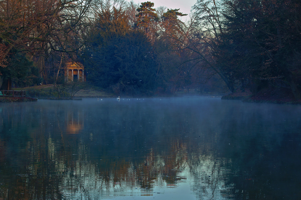 a cold morning at the park