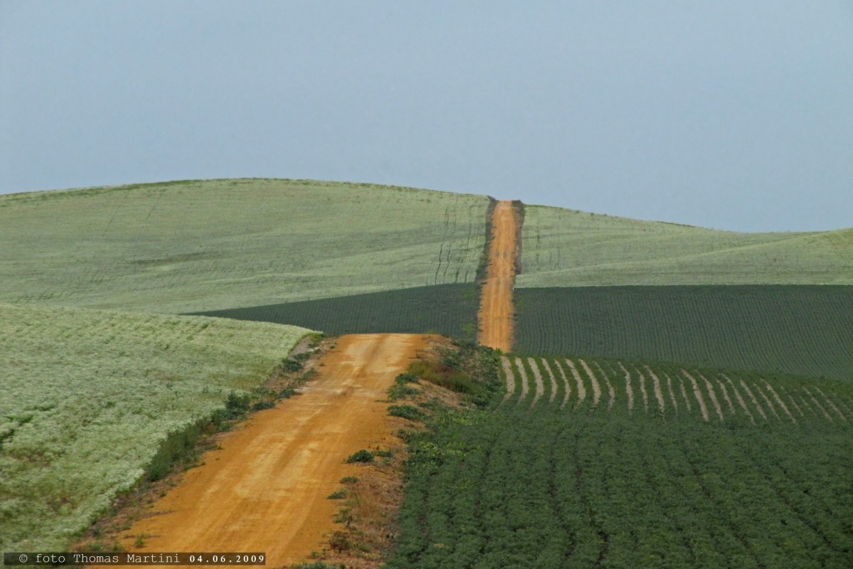 Stradina di campagna - Spagna