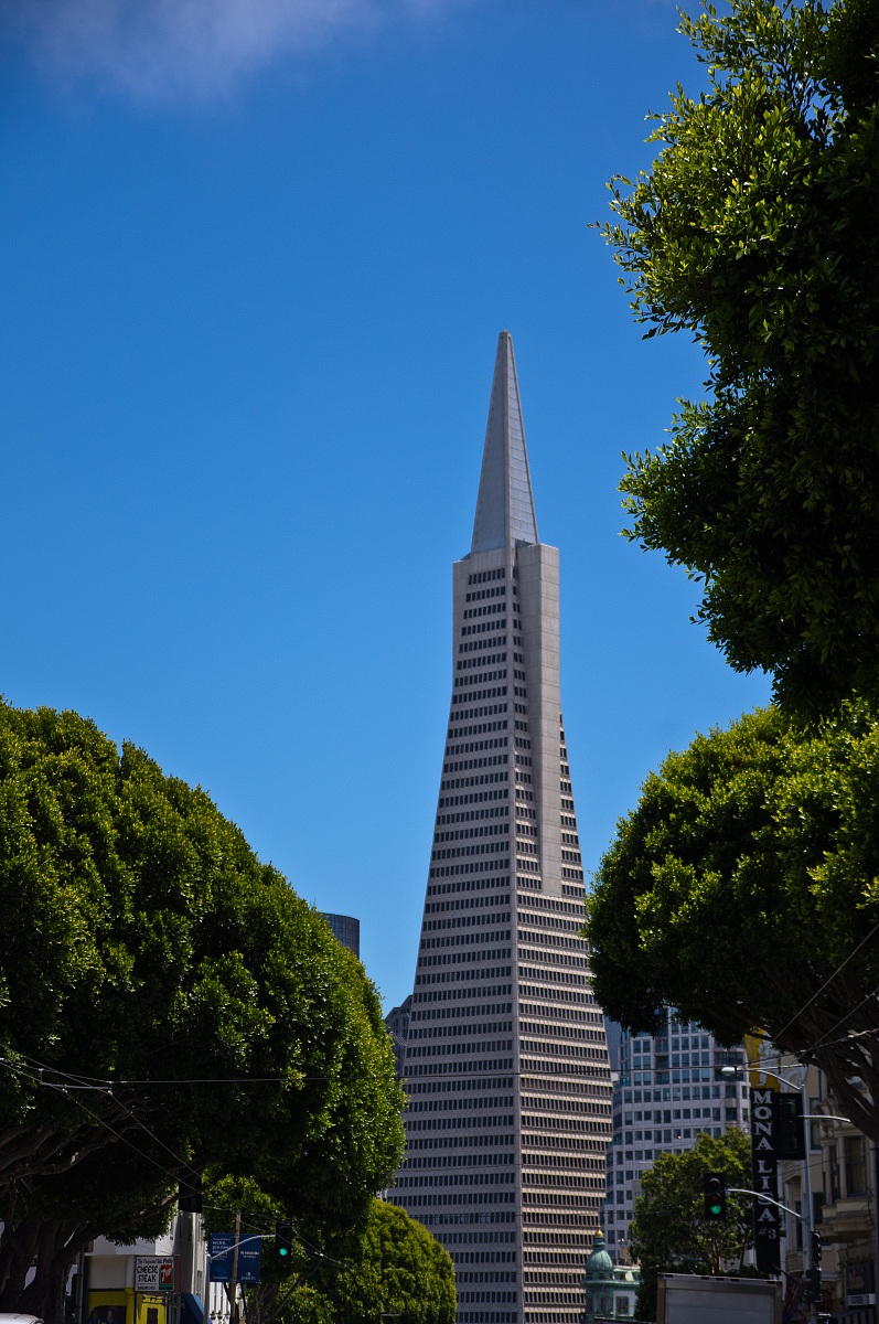 Transamerica Pyramid - San Francisco