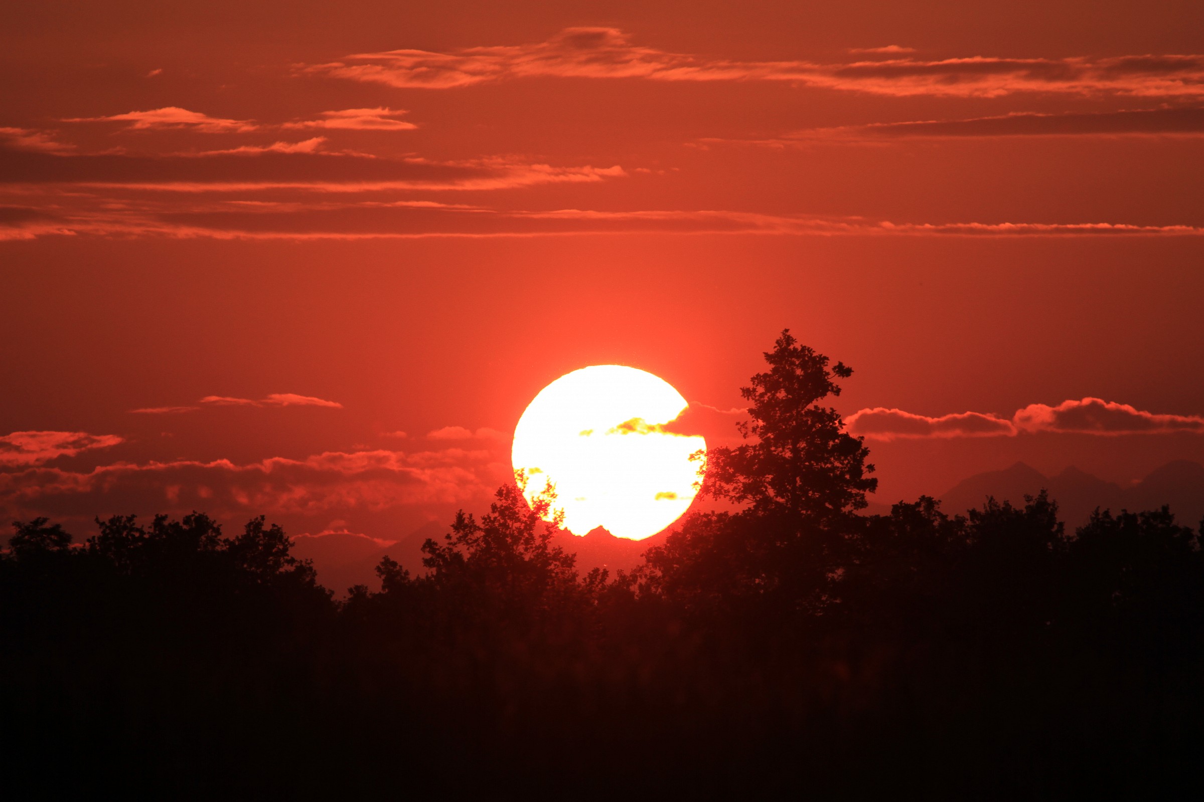 Sunset on the forest