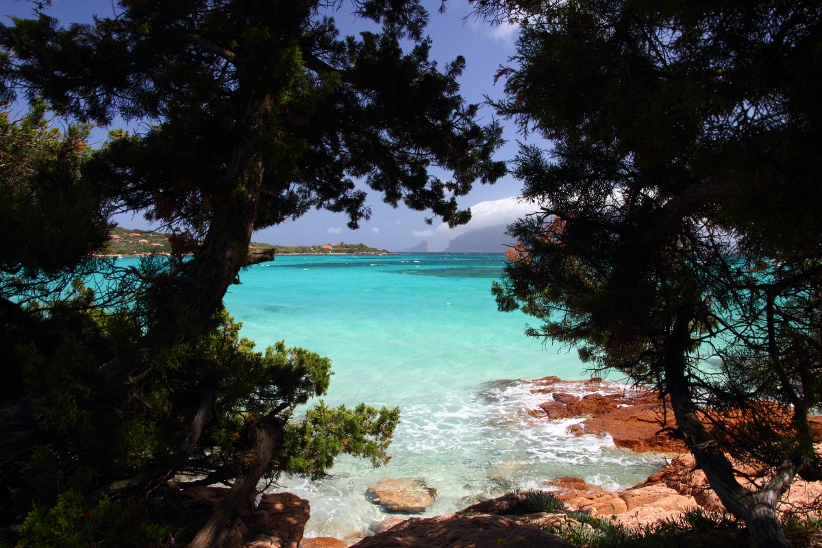 Porto Istana...vista tra gli alberi