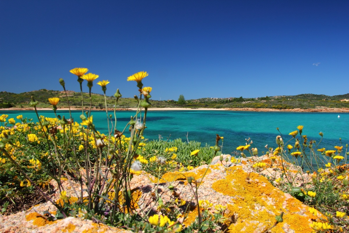 Vegetazione e mare...