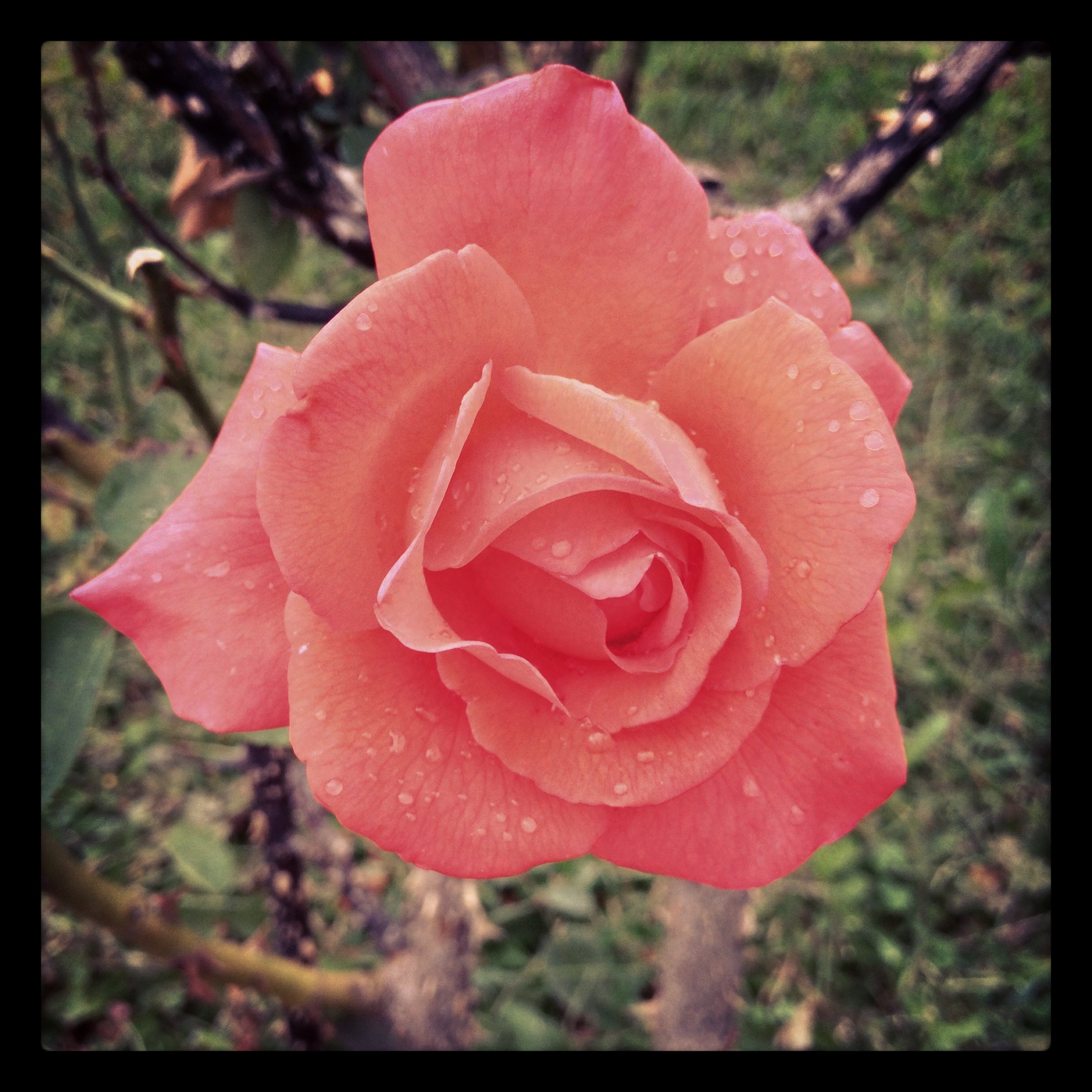 If your beauty is ... the best part of me ...