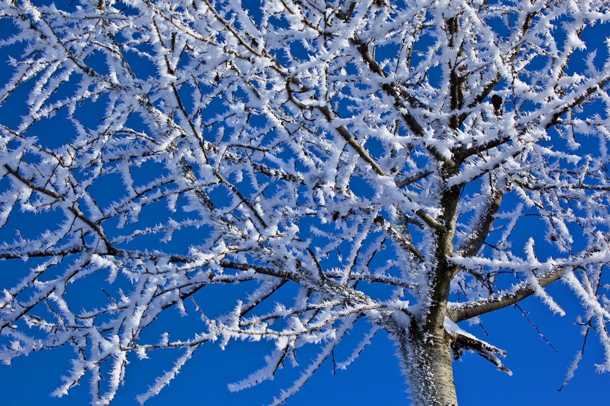 Contro il cielo azzurro