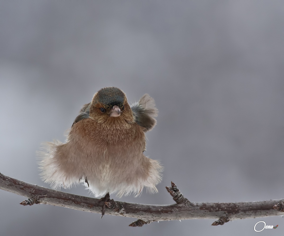 che aria fredda!! mi gelano i piediiii!!