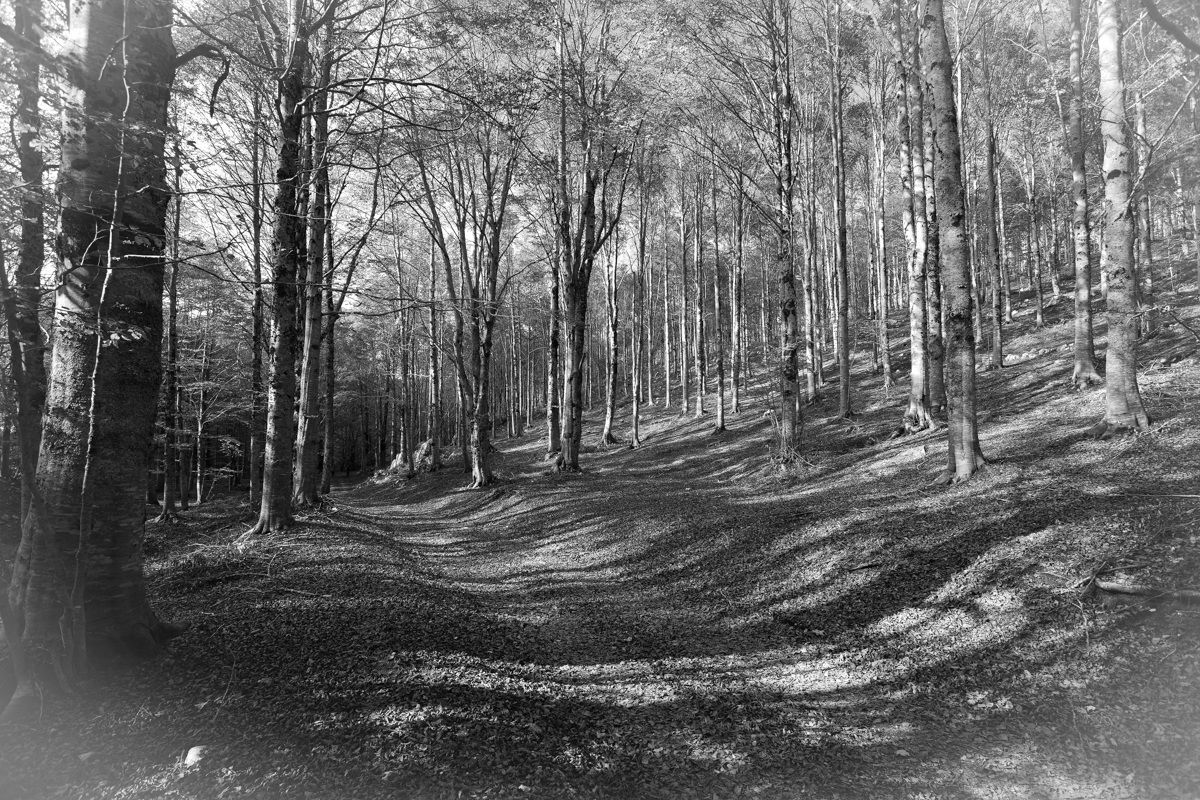 Autunno...nostalgico & incolore...!!!