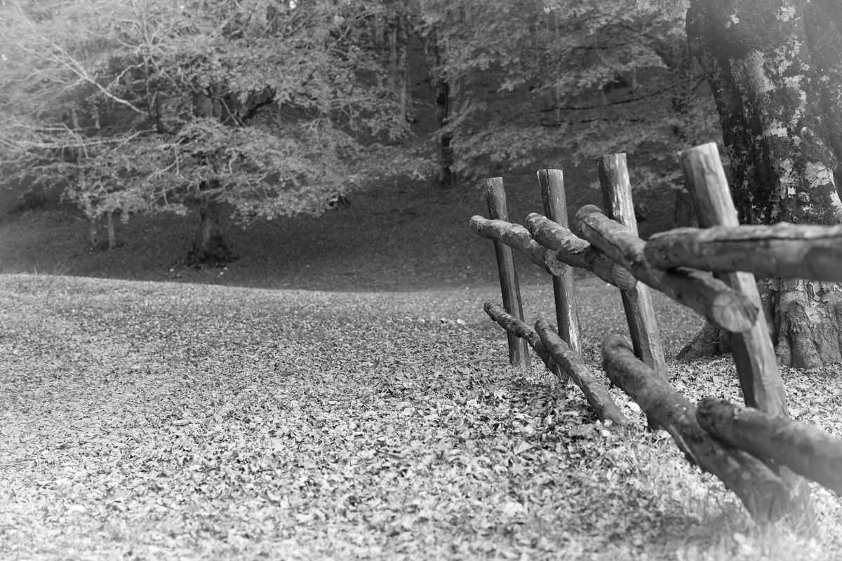 Autunno...nostalgico & incolore...!!!