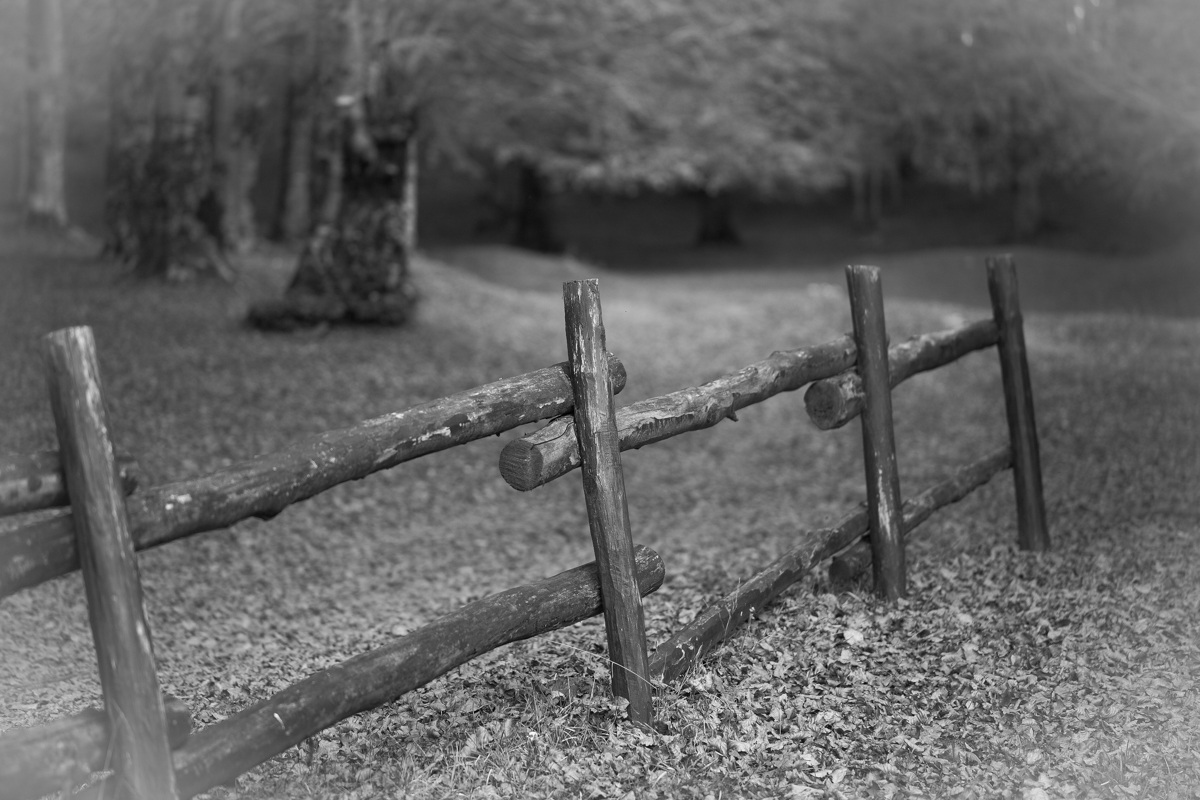 Autunno...nostalgico & incolore...!!!