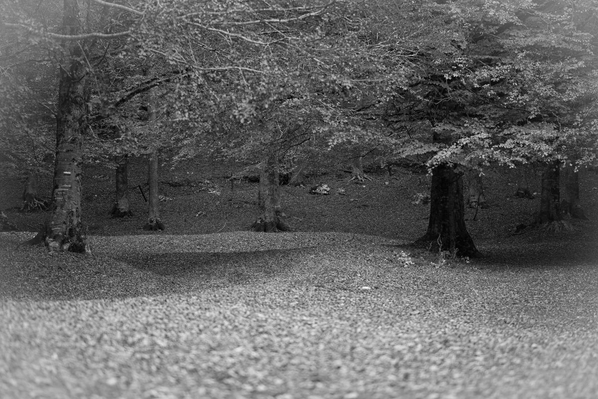 Autunno...nostalgico & incolore...!!!