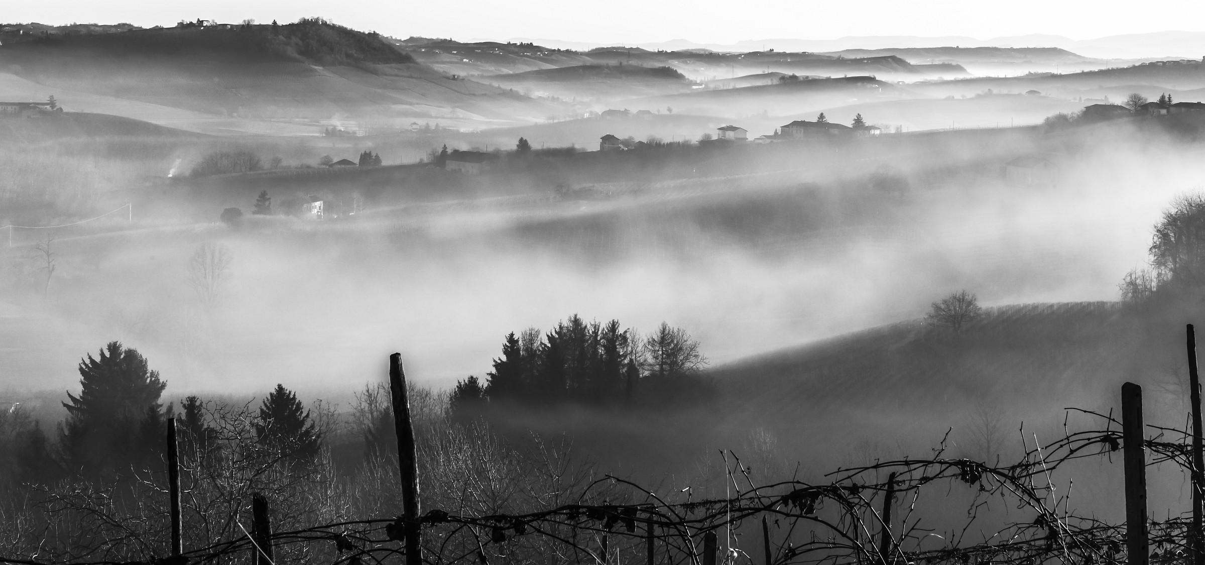 Monferrato , la Mia terra