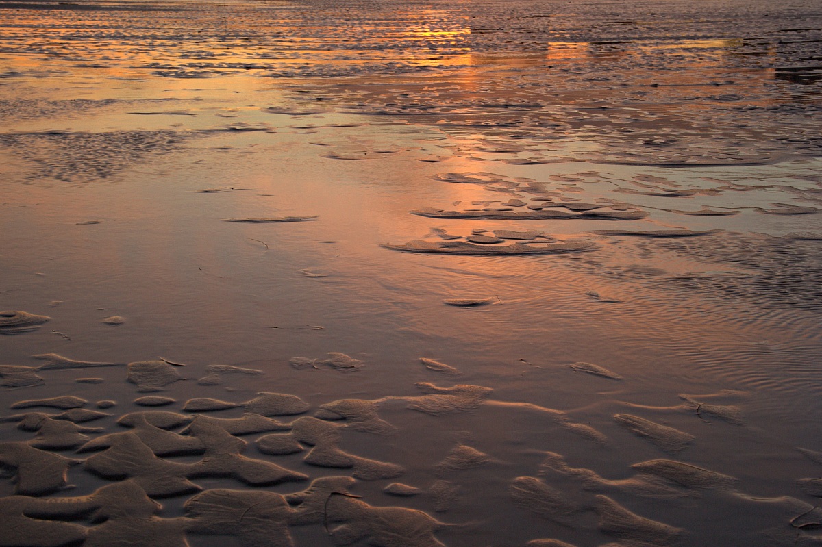 ... bassa marea multicolor ...