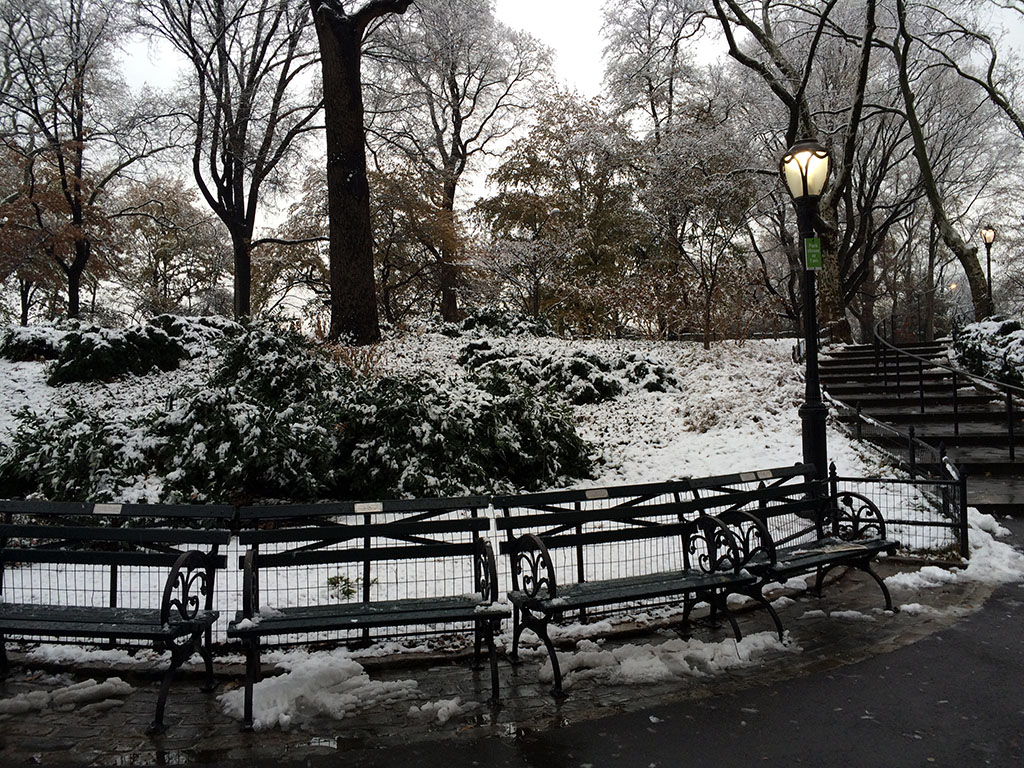 Central Park - NY