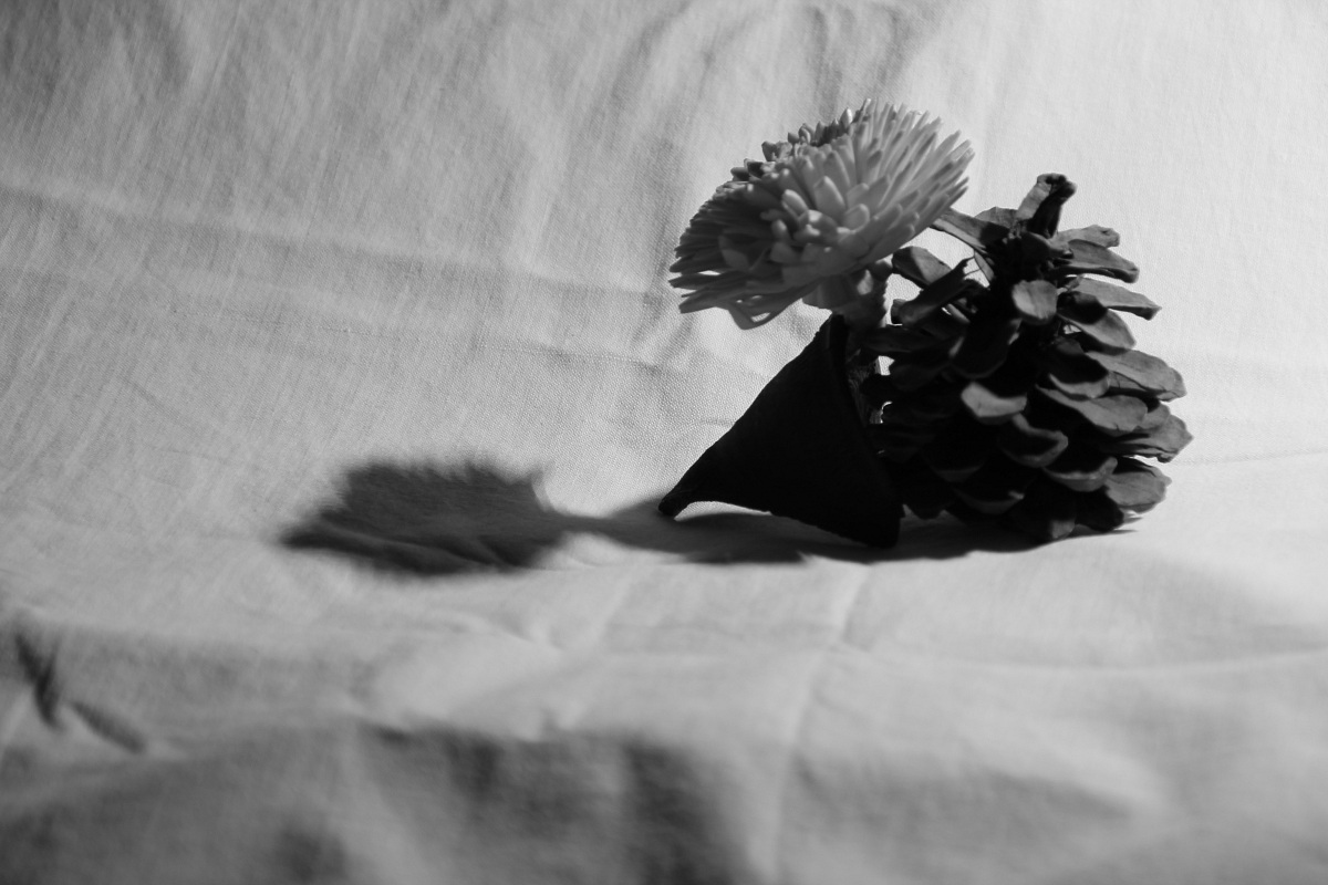 tests at home ... in b / w