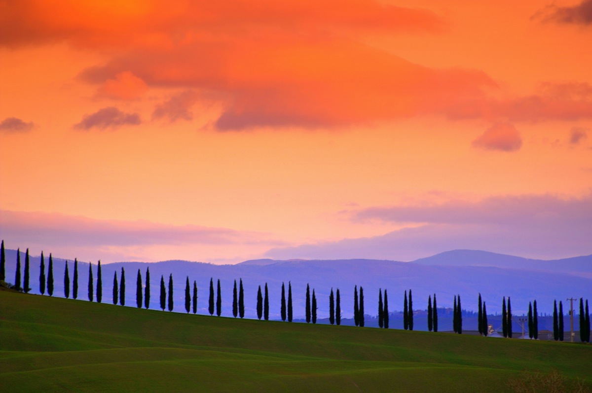 the suggestive profiles of Val d'Orcia