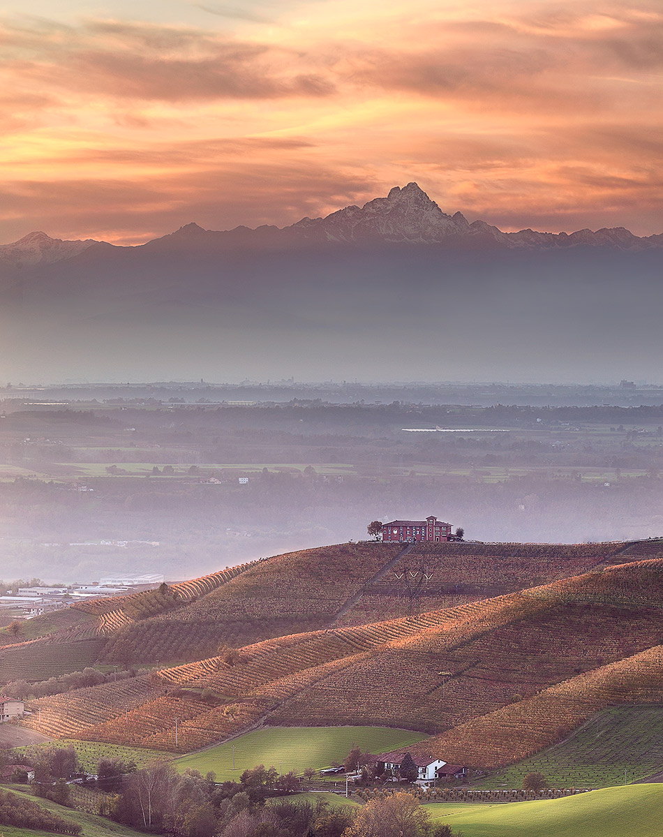 The Old Farm and the King