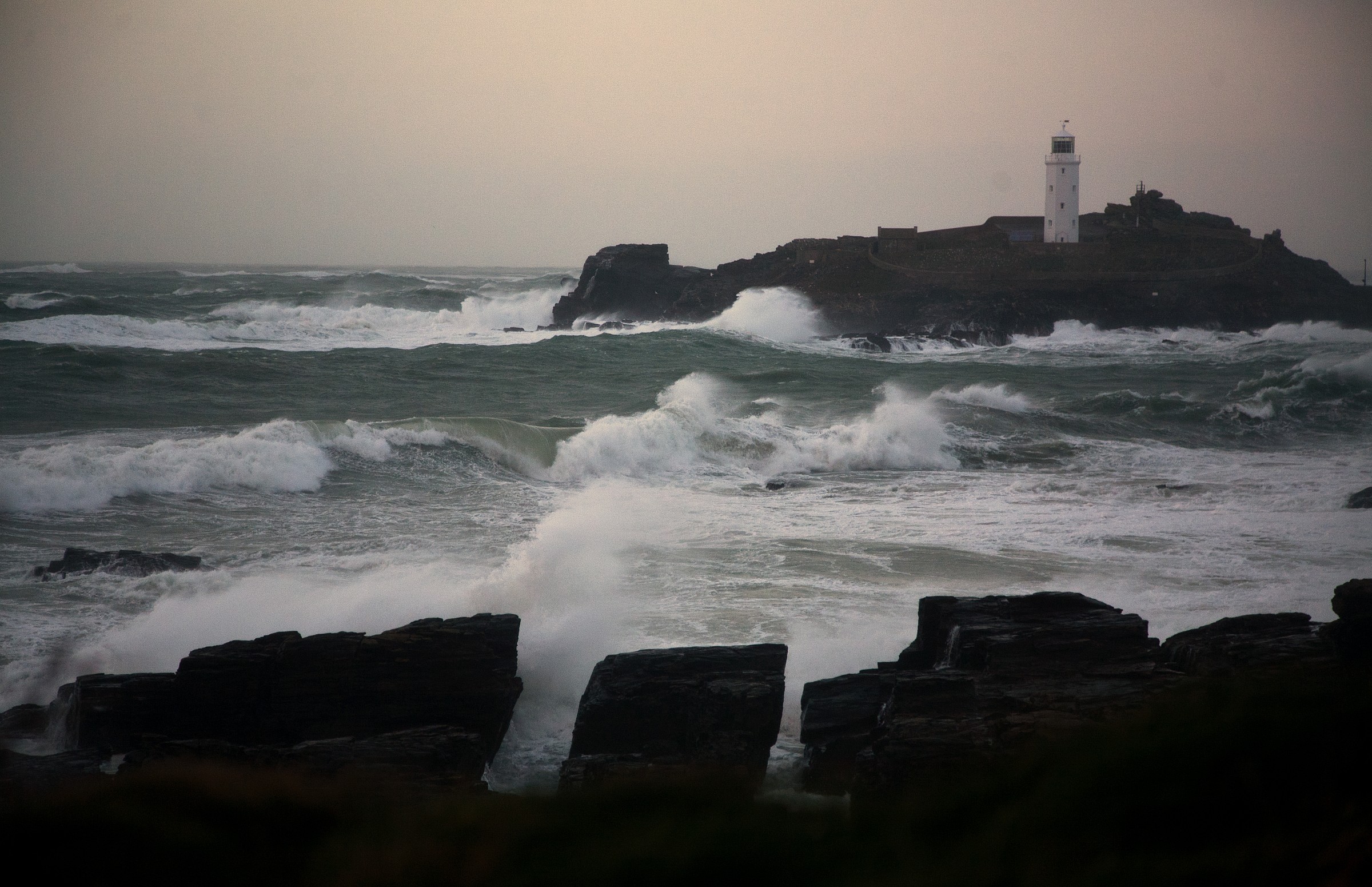 Mari selvatici ad Godreavy