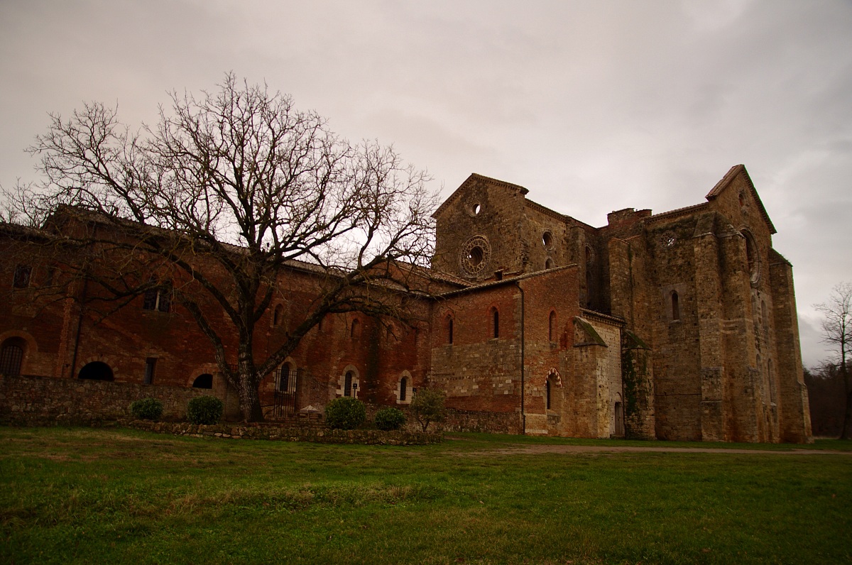 Abbey's galgano 3