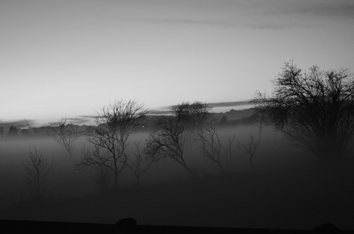 Nebbia in val Padana