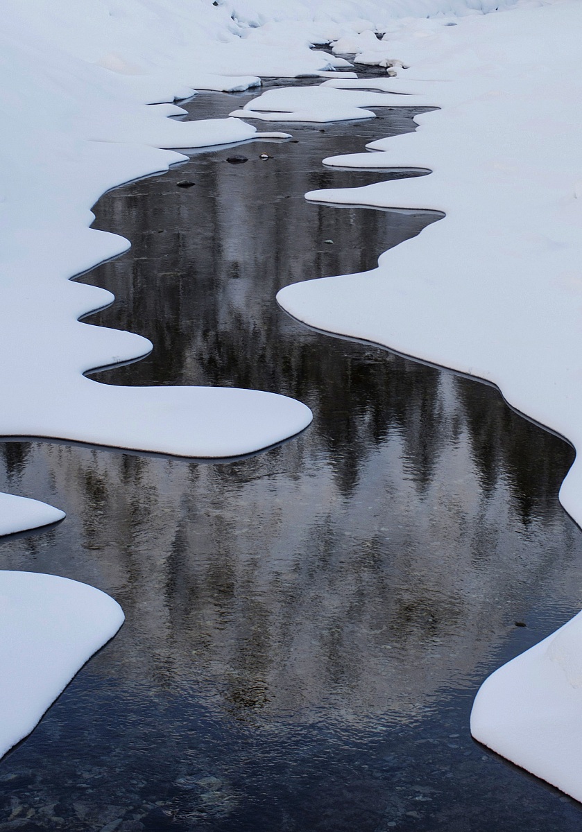 reflections - reflections