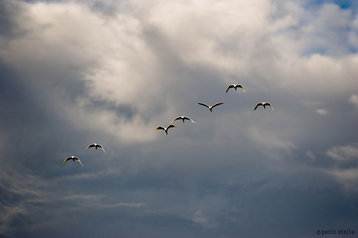 in the sky on the Napo River