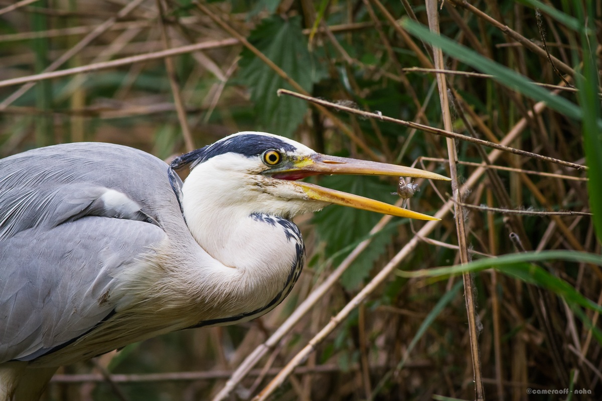 the last few seconds!