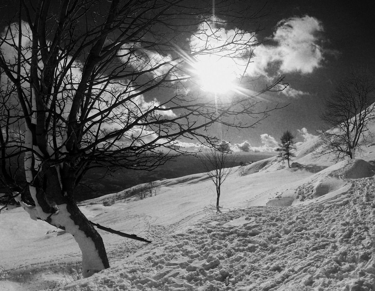 Sun and Snow B / W